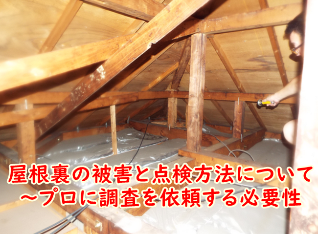 屋根裏の被害と点検方法について～プロに調査を依頼する必要性